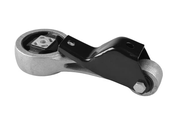 Variklio montavimas TEDGUM TED98406