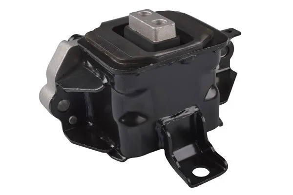 Variklio montavimas TEDGUM TED98772