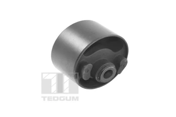 Variklio montavimas TEDGUM 00055708