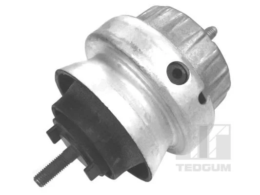 Variklio montavimas TEDGUM 00056444