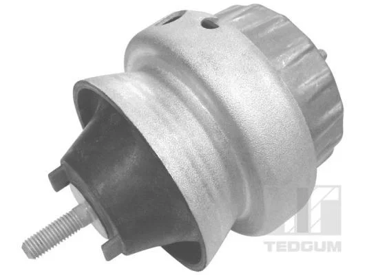 Variklio montavimas TEDGUM 00056451