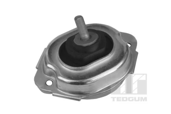 Variklio montavimas TEDGUM 00088547