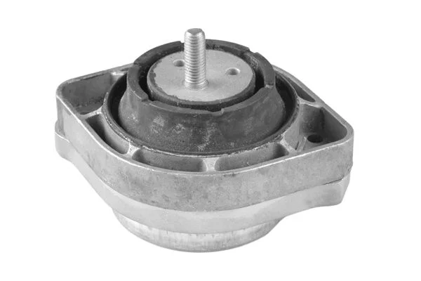 Variklio montavimas TEDGUM 00088692