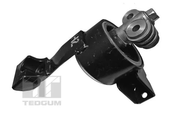 Variklio montavimas TEDGUM 00127938