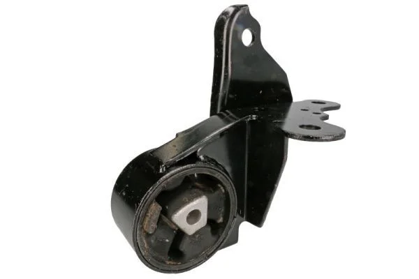 Variklio montavimas TEDGUM 00131530