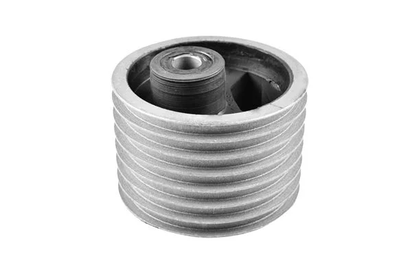 Variklio montavimas TEDGUM 00133412