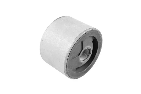 Variklio montavimas TEDGUM 00134246