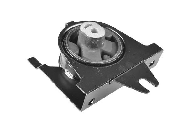 Variklio montavimas TEDGUM 00135002