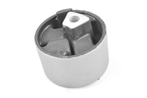 Variklio montavimas TEDGUM 00135487