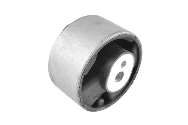 Variklio montavimas tedgum 00136751
