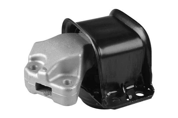 Variklio montavimas TEDGUM 00145790
