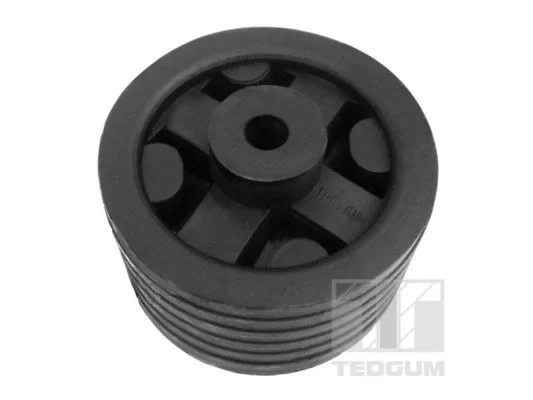 Variklio montavimas TEDGUM 00168157