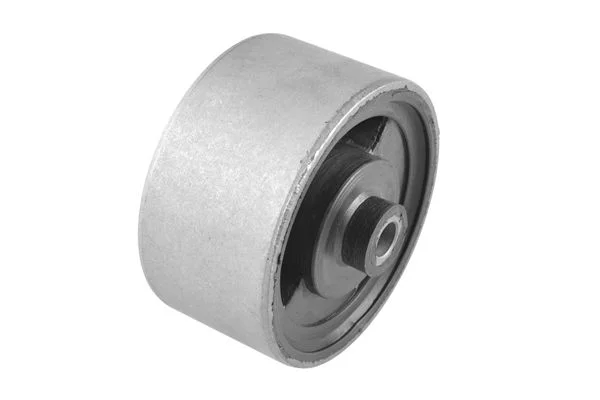 Variklio montavimas TEDGUM 00178210