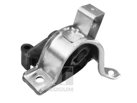 Variklio montavimas TEDGUM 00219214
