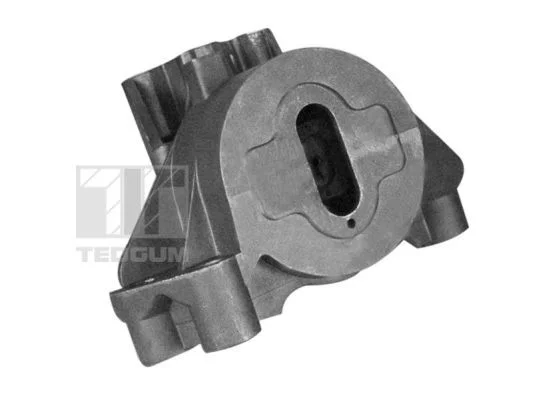 Variklio montavimas TEDGUM 00219484