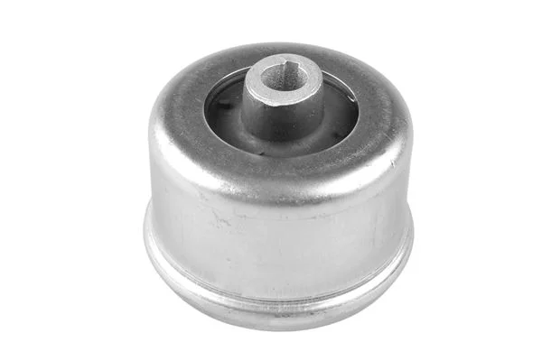Mounting, control/trailing arm TEDGUM 00226045
