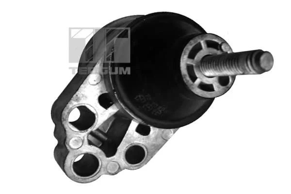 Variklio montavimas TEDGUM 00226305