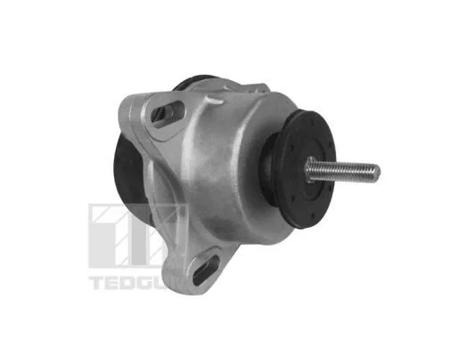 Variklio montavimas TEDGUM 00228940