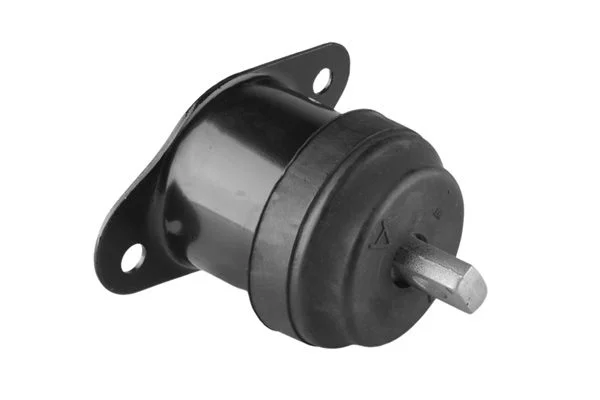 Variklio montavimas TEDGUM 00260934