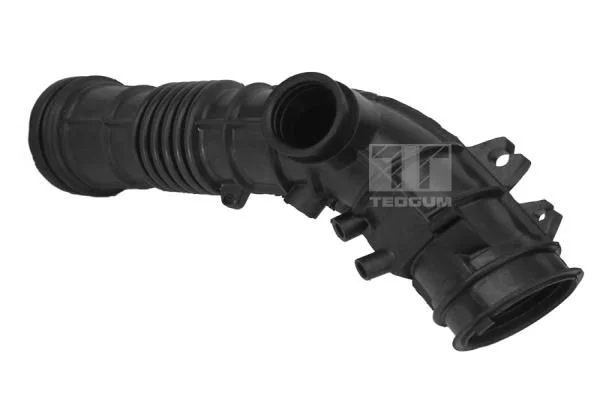 Įsiurbimo vamzdis, oro filtras TEDGUM 00262155