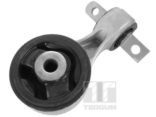Variklio montavimas TEDGUM 00263053