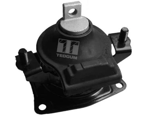 Variklio montavimas TEDGUM 00263076