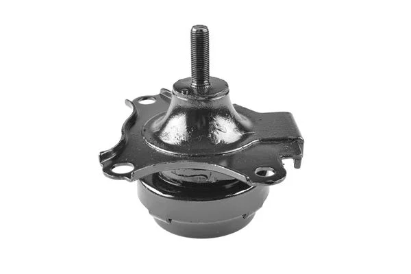Variklio montavimas TEDGUM 00263893