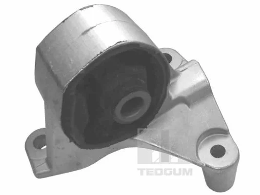 Variklio montavimas TEDGUM 00264833