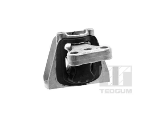 Variklio montavimas TEDGUM 00269162