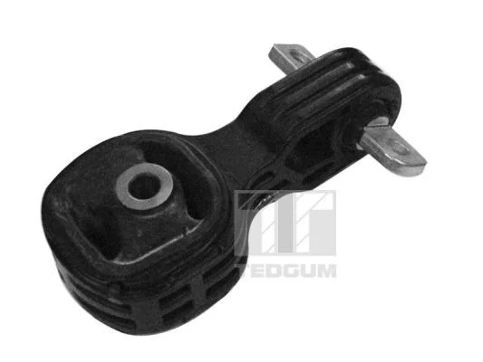 Variklio montavimas TEDGUM 00269395