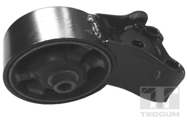Variklio montavimas TEDGUM 00282084
