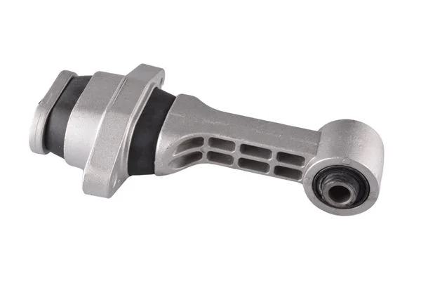 Variklio montavimas TEDGUM 00289244