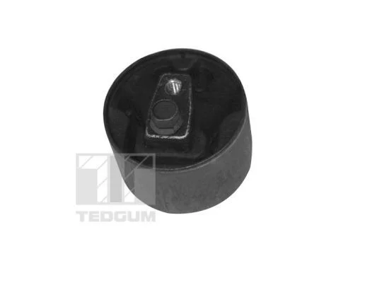 Variklio montavimas TEDGUM 00349747