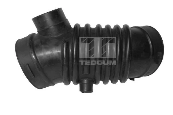 Įsiurbimo vamzdis, oro filtras TEDGUM 00392520