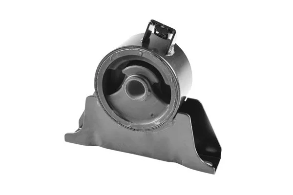 Variklio montavimas TEDGUM 00393484