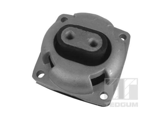 Montavimas, automatinė transmisija TEDGUM 00418581