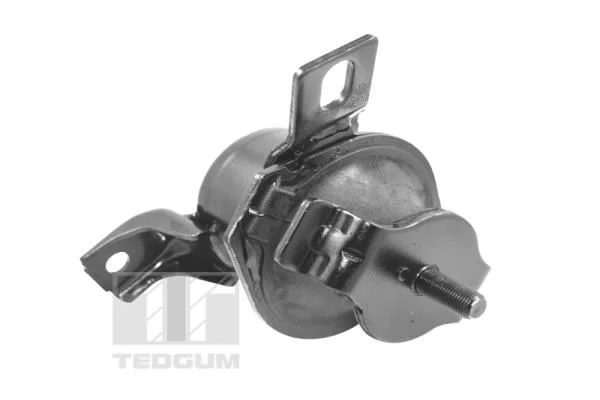 Variklio montavimas TEDGUM 00441120