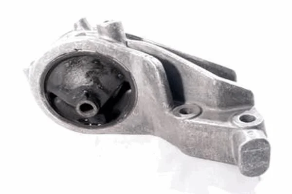 Variklio montavimas TEDGUM 00442146