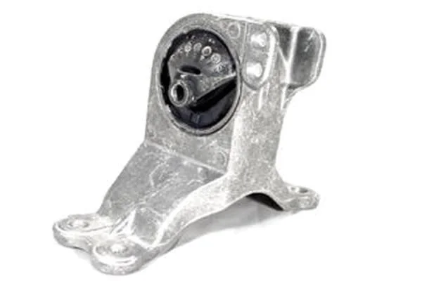 Variklio montavimas TEDGUM 00442149