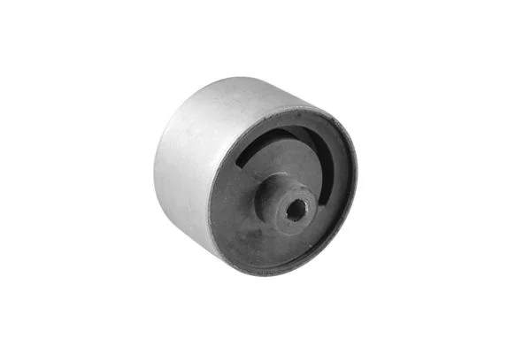 Variklio montavimas TEDGUM 00443872