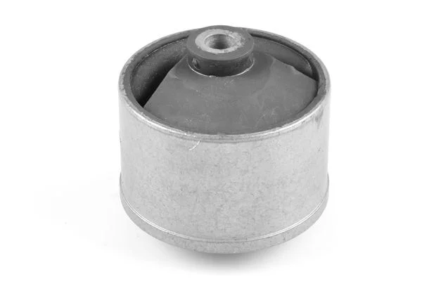 Variklio montavimas TEDGUM 00447927