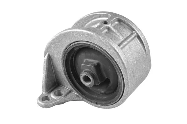 Variklio montavimas TEDGUM 00460583