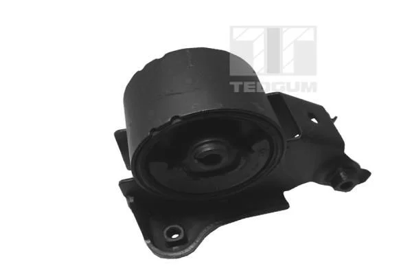 Variklio montavimas TEDGUM 00461052