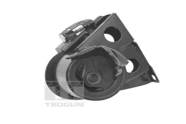 Variklio montavimas TEDGUM 00461057