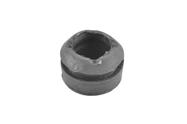 Variklio montavimas TEDGUM 00462402