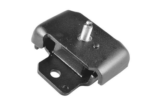 Variklio montavimas TEDGUM 00465104