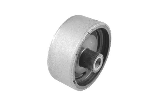 Variklio montavimas TEDGUM 00465201