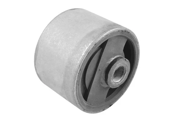 Variklio montavimas TEDGUM 00466065