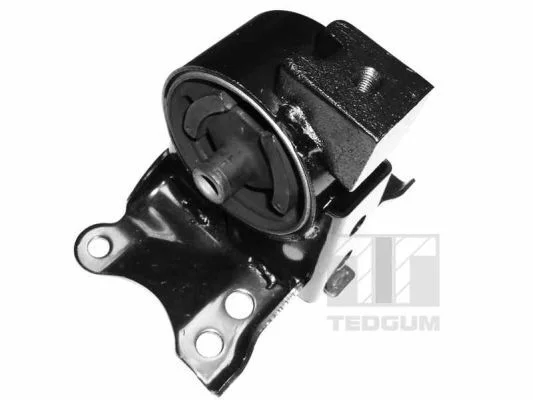 Variklio montavimas TEDGUM 00466350