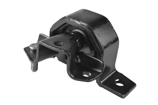 Variklio montavimas TEDGUM 00466640